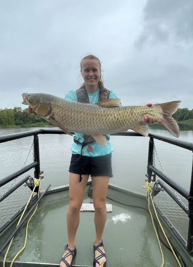 Grass Carp (Ctenopharyngodon idella) Oklahoma Department of Wildlife Conservation